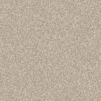 Masland Carpets Tracker Sandy Masland