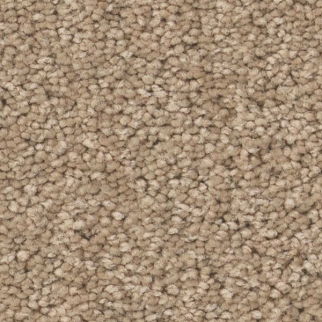 Tuftex Elegant Beauty Warm Sand SHAW