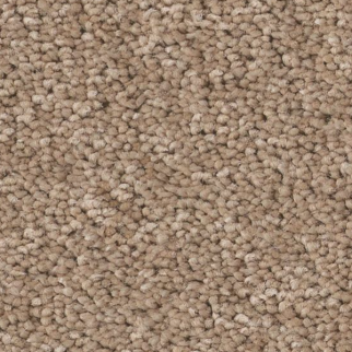 Tuftex Enduring Charm Warm Sand SHAW