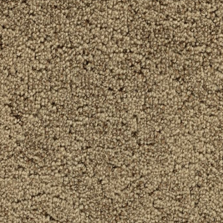 Godfrey Hirst Carpets Inspiring Selection Earthen GODFREY HIRST