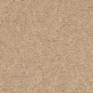 Horizon Carpet Quality Life Tradition Mohawk