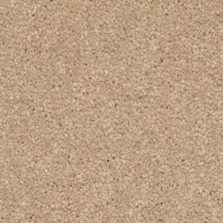 Mohawk Carpet Quality Feeling Tradition Mohawk