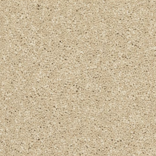 Horizon Carpet Modern Story I Seashells Mohawk