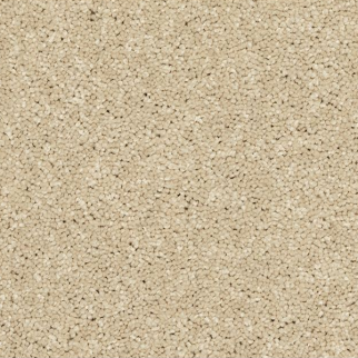 Horizon Carpet Modern Story II Seashells Mohawk