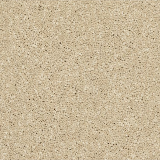 Horizon Carpet Modern Story III Seashells Mohawk