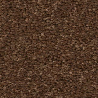 Tuftex Elegant Beauty Bronco SHAW