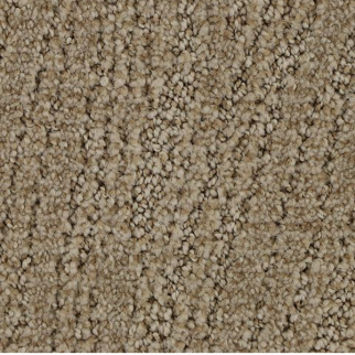 Horizon Carpet Stylish Trend Chiffon Mohawk