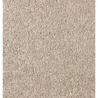 Mohawk Carpet Elegant Appeal I 12' Outback Mohawk