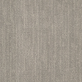 Dixie Home Tabby Salem