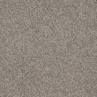 Dixie Home Spring Break Manatee