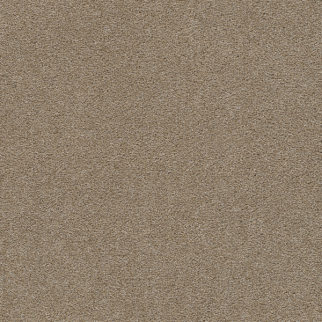 Dreamweaver Carpet Rock Solid III Fox Trail DREAMWEAVER