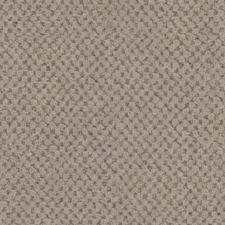 Masland Carpets La Parade Sienne Masland