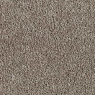 Mohawk Carpet Classical Design II 12' Wool Socks Mohawk