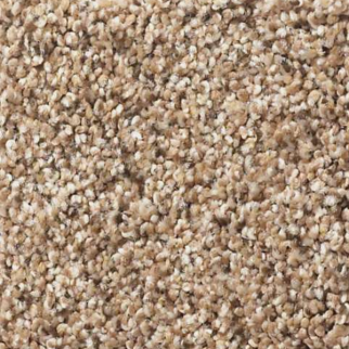 Shaw Floors Elemental Mix I Arrow Head SHAW