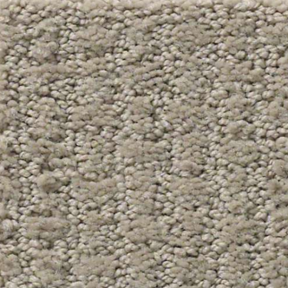 Shaw Floors Complete Control Park Avenue SHAW