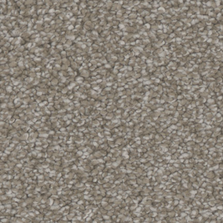 Tarkett Home Carpets Allure Engage LEXMARK