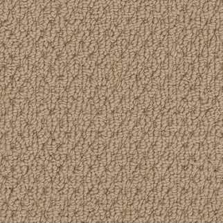 Godfrey Hirst Carpets Simply Elemental Deer Valley GODFREY HIRST