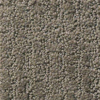 Shaw Floors Complete Control Front Gate SHAW