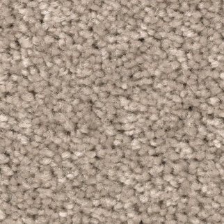 Mohawk Carpet Treasure Valley Bora Bora Mohawk