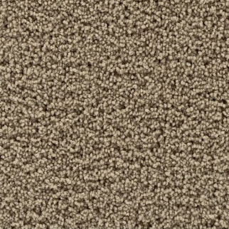 Mohawk Carpet Gentle Path Peanut Shell Mohawk
