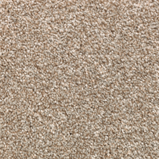 Mohawk Carpet True Unity Shadywood Mohawk