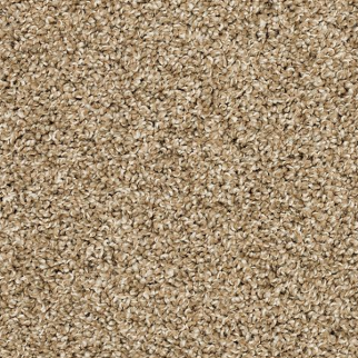 Mohawk Carpet Diffurent Choice III Harmony Mohawk
