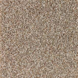 Mohawk Carpet True Unity Americana Mohawk