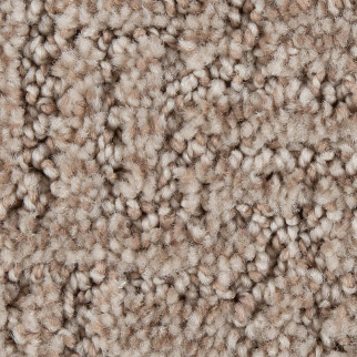 Mohawk Carpet Stylish Edge Carmelita Mohawk