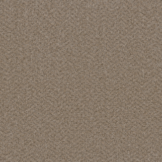 Dreamweaver Carpet Broadcast Plus Almond DREAMWEAVER