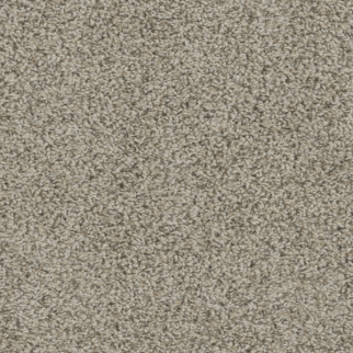 Dreamweaver Carpet Tracker Almond DREAMWEAVER