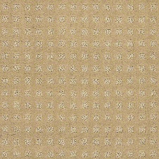 Shaw Floors Alluring Disposition Warmth SHAW