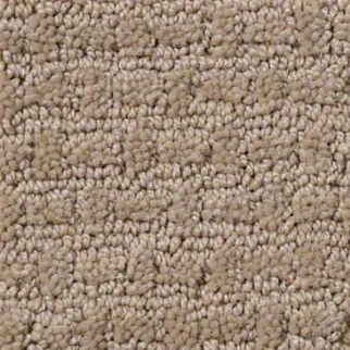 Shaw Floors Complete Control Biscotti SHAW