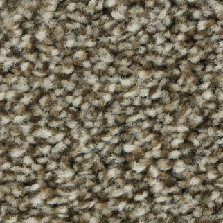 Horizon Carpet Polished Shades II Spanish Gallery Mohawk
