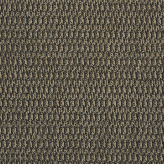 Philadelphia Commercial In Harmony Balanced Shaw