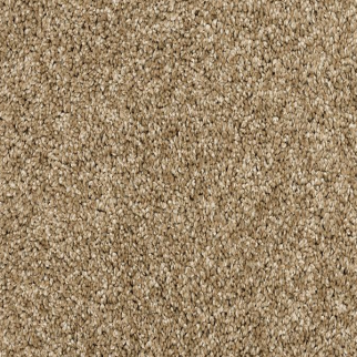 Mohawk Carpet Claws And Effect II Parchment Mohawk