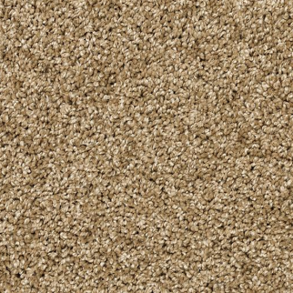 Mohawk Carpet Diffurent Choice III Parchment Mohawk