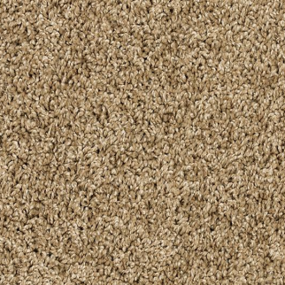 Mohawk Carpet Purrsonality III Parchment Mohawk