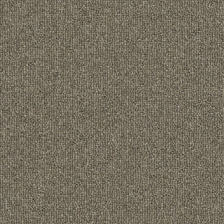 Aladdin Commercial Rule Breaker 26 12' Stoney Mohawk