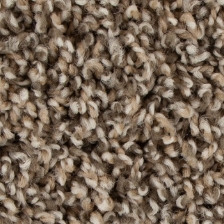 Mohawk Carpet Medalist Briddle Mohawk