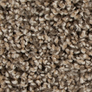 Mohawk Carpet Color Fusion II Bridle Mohawk
