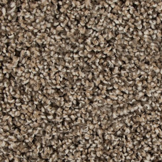 Mohawk Carpet Color Fusion I Bridle Mohawk