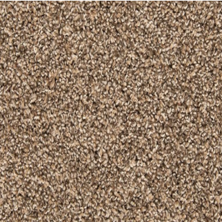 Mohawk Carpet Color Classics I Mystic Wood Mohawk