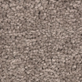 Mohawk Carpet Treasure Valley Poised Taupe Mohawk