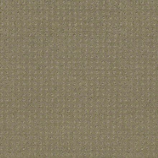 Shaw Floors Alluring Disposition Mocha SHAW