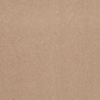 Philadelphia Commercial Registry 30 Tahoe Tan Shaw