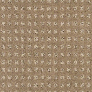 Shaw Floors Alluring Disposition Grounded SHAW