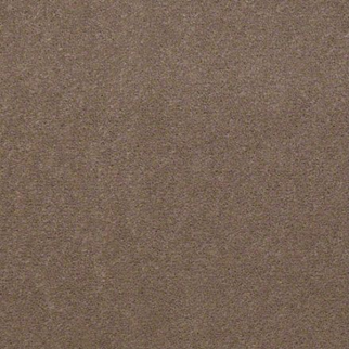 Philadelphia Commercial Registry 30 Tempo Taupe Shaw