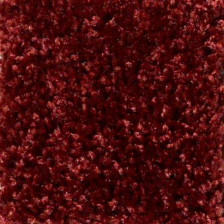 Shaw Floors Dreamin 12' Cayenne SHAW