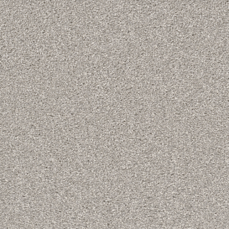 Dreamweaver Carpet Cape Cod Dove DREAMWEAVER