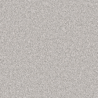 Dreamweaver Carpet East Hampton Dove DREAMWEAVER